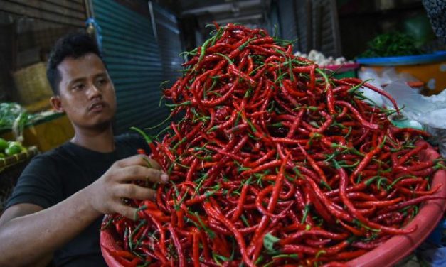 Harga Cabai Naik, Pedagang Kuliner Di Medan Putar Otak