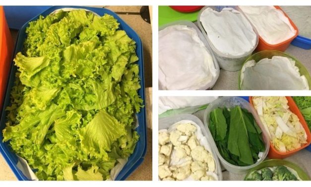 Trik Menyimpan Sayuran Hijau Di Kulkas Cuma Pakai Tisu Dapur