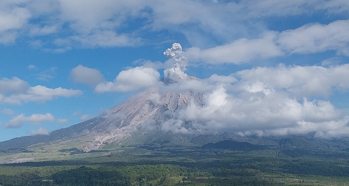 Gunung Semeru Erupsi 1.000 Meter, Status Kewaspadaan Naik